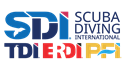 SDI/TDI's Logo