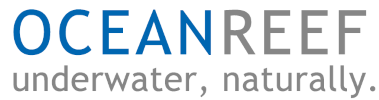 Ocean Reef