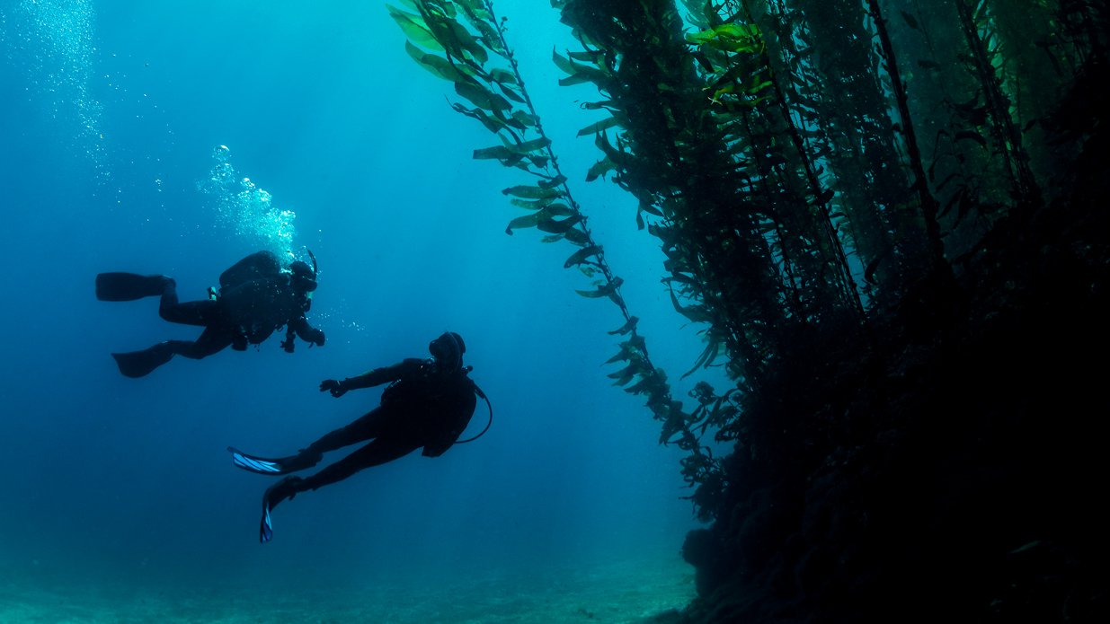 Deep Diver