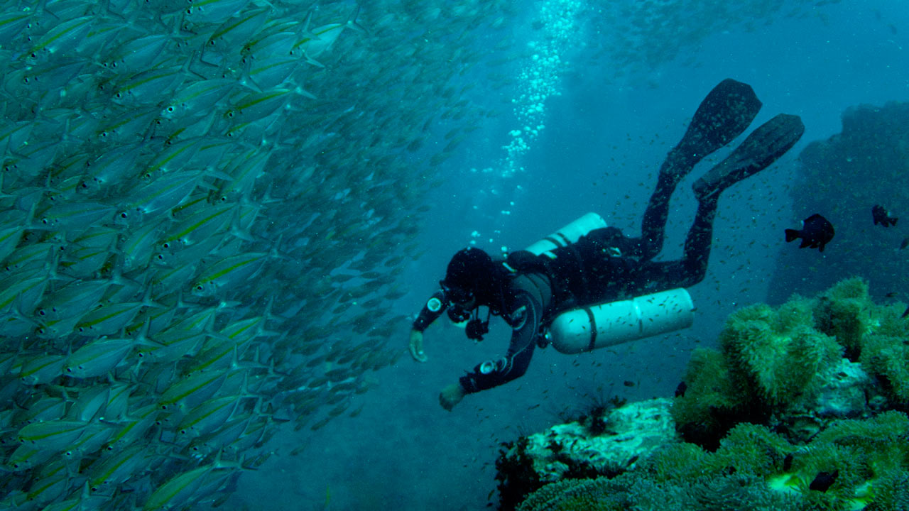 SDI/TDI Sidemount Diver Program